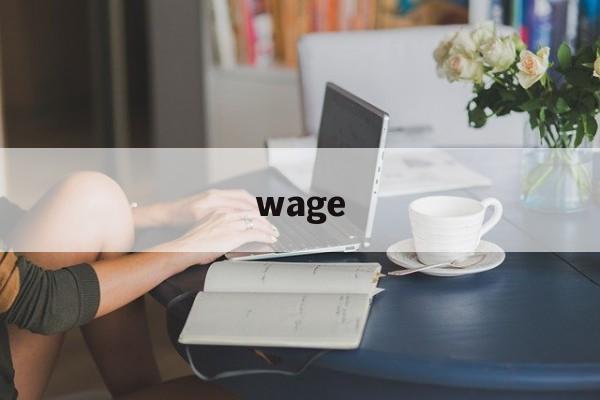 wage:(wage有复数吗)