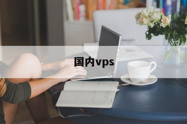 国内vps:(国内大带宽vps)