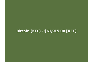 Bitcoin (BTC) - $61,915.00 [NFT]