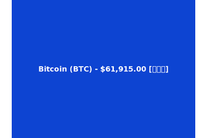Bitcoin (BTC) - $61,915.00 [比特币]