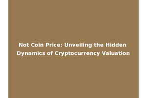 Not Coin Price: Unveiling the Hidden Dynamics of Cryptocurrency Valuation