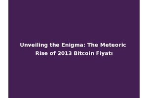 Unveiling the Enigma: The Meteoric Rise of 2013 Bitcoin Fiyatı