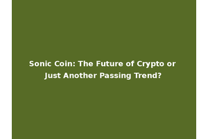 Sonic Coin: The Future of Crypto or Just Another Passing Trend?