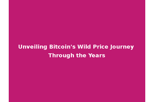 Unveiling Bitcoin's Wild Price Journey Through the Years