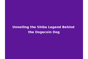 Unveiling the Shiba Legend Behind the Dogecoin Dog