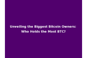 Unveiling the Biggest Bitcoin Owners: Who Holds the Most BTC?