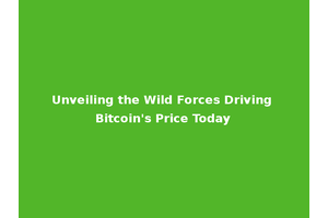 Unveiling the Wild Forces Driving Bitcoin's Price Today