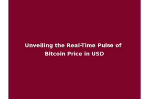 Unveiling the Real-Time Pulse of Bitcoin Price in USD