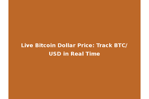 Live Bitcoin Dollar Price: Track BTC/USD in Real Time