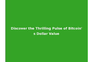 Discover the Thrilling Pulse of Bitcoin's Dollar Value
