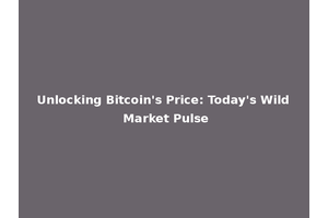 Unlocking Bitcoin's Price: Today's Wild Market Pulse