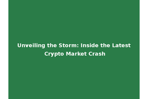 Unveiling the Storm: Inside the Latest Crypto Market Crash