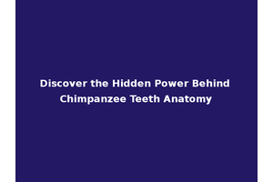 Discover the Hidden Power Behind Chimpanzee Teeth Anatomy