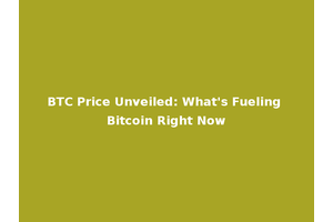 BTC Price Unveiled: What's Fueling Bitcoin Right Now