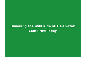 Unveiling the Wild Ride of X Hamster Coin Price Today
