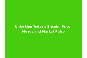 Unlocking Today's Bitcoin: Price Moves and Market Pulse