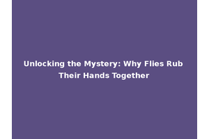 Unlocking the Mystery: Why Flies Rub Their Hands Together