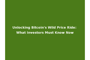 Unlocking Bitcoin's Wild Price Ride: What Investors Must Know Now