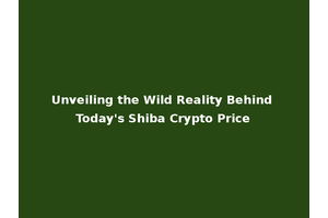 Unveiling the Wild Reality Behind Today's Shiba Crypto Price