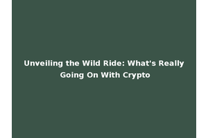 Unveiling the Wild Ride: What's Really Going On With Crypto