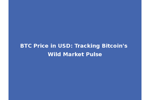 BTC Price in USD: Tracking Bitcoin's Wild Market Pulse