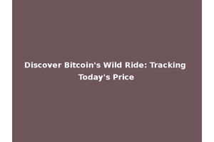 Discover Bitcoin's Wild Ride: Tracking Today's Price
