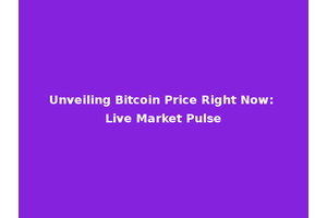 Unveiling Bitcoin Price Right Now: Live Market Pulse