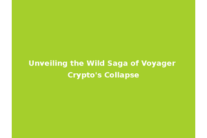 Unveiling the Wild Saga of Voyager Crypto's Collapse