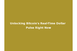 Unlocking Bitcoin's Real-Time Dollar Pulse Right Now