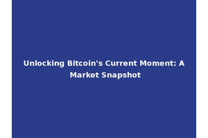 Unlocking Bitcoin's Current Moment: A Market Snapshot
