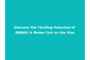 Discover the Thrilling Potential of BNB69: A Meme Coin on the Rise