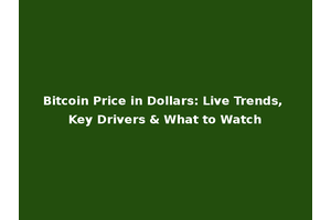 Bitcoin Price in Dollars: Live Trends, Key Drivers & What to Watch