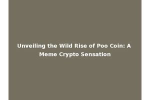 Unveiling the Wild Rise of Poo Coin: A Meme Crypto Sensation