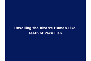 Unveiling the Bizarre Human-Like Teeth of Pacu Fish