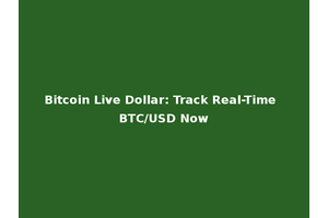 Bitcoin Live Dollar: Track Real-Time BTC/USD Now