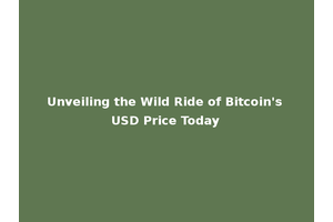 Unveiling the Wild Ride of Bitcoin's USD Price Today
