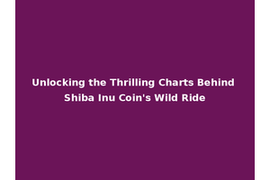 Unlocking the Thrilling Charts Behind Shiba Inu Coin's Wild Ride