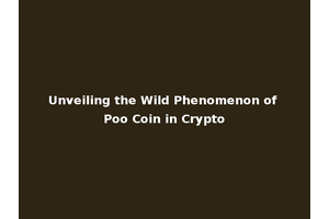 Unveiling the Wild Phenomenon of Poo Coin in Crypto