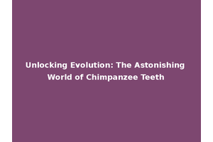 Unlocking Evolution: The Astonishing World of Chimpanzee Teeth