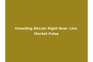 Unveiling Bitcoin Right Now: Live Market Pulse
