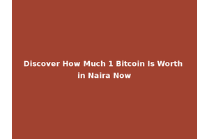 Discover How Much 1 Bitcoin Is Worth in Naira Now