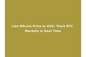 Live Bitcoin Price in USD: Track BTC Markets in Real Time
