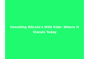 Unveiling Bitcoin's Wild Ride: Where It Stands Today