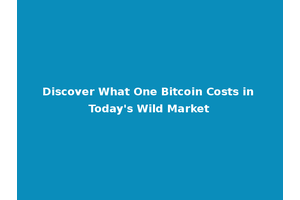 Discover What One Bitcoin Costs in Today's Wild Market