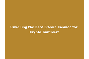 Unveiling the Best Bitcoin Casinos for Crypto Gamblers