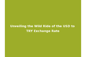 Unveiling the Wild Ride of the USD to TRY Exchange Rate