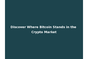 Discover Where Bitcoin Stands in the Crypto Market