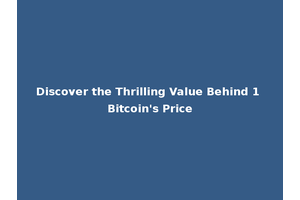 Discover the Thrilling Value Behind 1 Bitcoin's Price