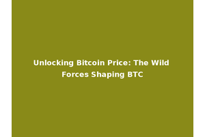 Unlocking Bitcoin Price: The Wild Forces Shaping BTC