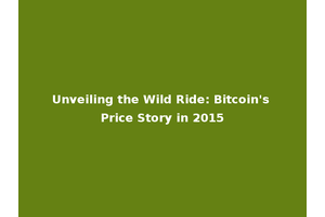 Unveiling the Wild Ride: Bitcoin's Price Story in 2015